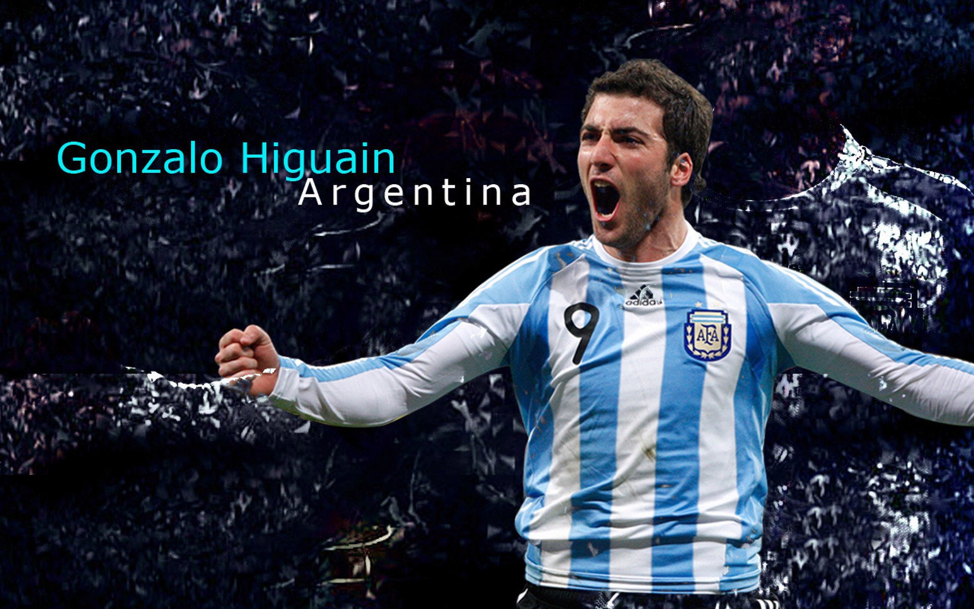 _猛龙奋起直追，逐渐逼近强敌_，猛龙追击